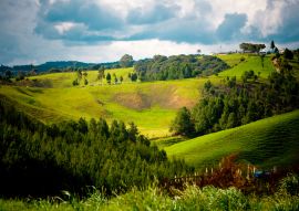 Lais Puzzle - Llanos de Cuiva, Antioquia, Kolumbien - 100, 200, 500 & 1.000 Teile