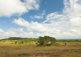 Lais Puzzle - Serrania de la Lindosa, Guayanes-Schild-Formation, Guaviare, Kolumbien - 100, 200, 500 & 1.000 Teile