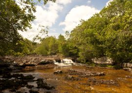 Lais Puzzle - Los Pozos Stream, San Jose del Guaviare, Guaviare, Kolumbien - 100, 200, 500 & 1.000 Teile