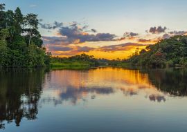 Lais Puzzle - Reflexion eines Sonnenuntergangs an einer Lagune im Amazonas-Regenwaldbecken, Kolumbien - 100, 200, 500 & 1.000 Teile