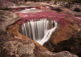 Lais Puzzle - Caño cristales, Kolumbien - 100, 200, 500 & 1.000 Teile