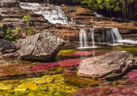 Lais Puzzle - Caño cristales, Kolumbien - 100, 200, 500 & 1.000 Teile