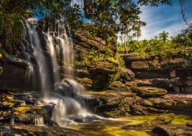 Lais Puzzle - Caño cristales, Kolumbien - 100, 200, 500 & 1.000 Teile