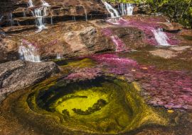 Lais Puzzle - Caño cristales, Kolumbien - 100, 200, 500 & 1.000 Teile