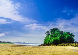 Lais Puzzle - Tropischer Strand Almejal an der Pazifikküste bei El Valle in der Region Choco in Kolumbien - 100, 200, 500 & 1.000 Teile