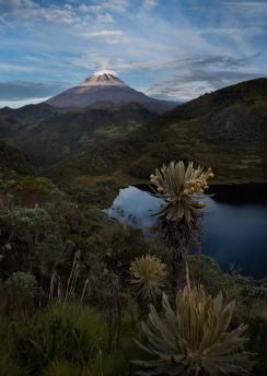 Lais Puzzle - Schöne Landschaft.Tolima verschneit mit frailejones, See und Vegetation. Kolumbien - 100, 200, 500 & 1.000 Teile