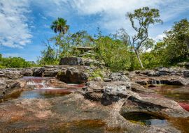Lais Puzzle - Caño Cristales Kolumbien , Rio de Colores - 100, 200, 500 & 1.000 Teile