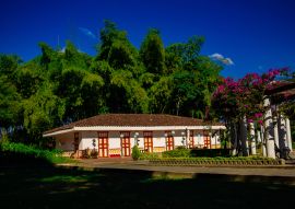 Lais Puzzle - Eje Cafetero Landschaft Kolumbien Biodiversität Guadual Wald Quindio Armenia Pereira Kolumbien - 100, 200, 500 & 1.000 Teile