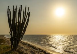 Lais Puzzle - Wüste Guajira, Kolumbien - 100, 200, 500 & 1.000 Teile