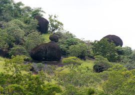 Lais Puzzle - El Tuparro Orinoco Park Felsformation Kolumbien - 100, 200, 500 & 1.000 Teile