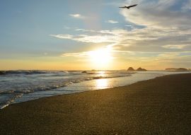 Lais Puzzle - Playa Bahia Solano kolumbien - 100, 200, 500 & 1.000 Teile