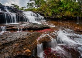 Lais Puzzle - Der Regenbogenfluss oder Fünf-Farben-Fluss ist in Kolumbien einer der schönsten Naturorte, er heißt Crystal Canyon - 100, 200, 500 & 1.000 Teile