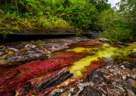 Lais Puzzle - Der Regenbogen-Fluss oder Fünf-Farben-Fluss ist in Kolumbien einer der schönsten Naturorte, er heißt Crystal Canyon - 100, 200, 500 & 1.000 Teile