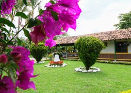 Lais Puzzle - Finca cafetera Quindio Kolumbien - 100, 200, 500 & 1.000 Teile