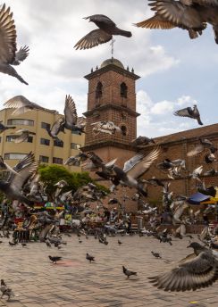 Lais Puzzle - Cali, Valle del Cauca, Kolumbien - 100, 200, 500 & 1.000 Teile