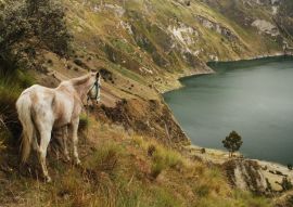 Lais Puzzle - Lagune de Quilotoa, Ecuador - 100, 200, 500 & 1.000 Teile