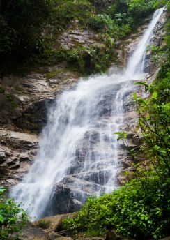 Lais Puzzle - Podocarpus, Ecuador - 100, 200, 500 & 1.000 Teile