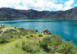 Lais Puzzle - Lagune de Quilotoa, Ecuador - 100, 200, 500 & 1.000 Teile