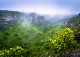 Lais Puzzle - Galapagos-Inseln, Ecuador: Vulkankrater der Insel Santa Cruz - 100, 200, 500 & 1.000 Teile