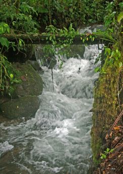 Lais Puzzle - Wasserfall Ecuador - 100, 200, 500 & 1.000 Teile