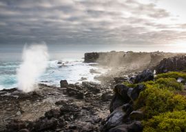 Lais Puzzle - Galapagos-Inseln, Ecuador - 100, 200, 500 & 1.000 Teile