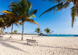 Lais Puzzle - Strand auf der Galapagos-Insel Isabela, Ecuador - 100, 200, 500 & 1.000 Teile