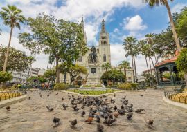 Lais Puzzle - Parque Seminario Guayaquil, Ecuador - 100, 200, 500 & 1.000 Teile