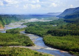 Lais Puzzle - Rio Napo, Ecuador - 100, 200, 500 & 1.000 Teile