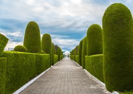 Lais Puzzle - Weg im Park, Ecuador - 100, 200, 500 & 1.000 Teile