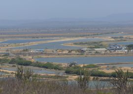 Lais Puzzle - Garnelenproduktion, Ecuador - 100, 200, 500 & 1.000 Teile