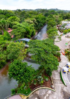 Lais Puzzle - Puyo-Fluss, Ecuador - 100, 200, 500 & 1.000 Teile