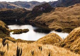 Lais Puzzle - Cayambe-Coca-Reservat Ecuador - 100, 200, 500 & 1.000 Teile