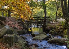 Lais Puzzle - Brücke im Padley Gorge Waldgebiet im Herbst, schöne Farben des Peak District, England - 100, 200, 500 & 1.000 Teile