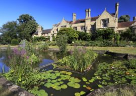 Lais Puzzle - RSPB Lodge, Sandy Heath, Sandy Stadt, Bedfordshire, England - 100, 200, 500 & 1.000 Teile
