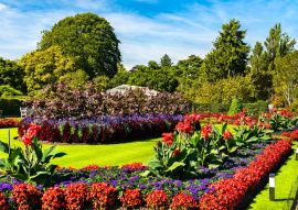 Lais Puzzle - Blumen in den Kew Royal Botanic Gardens in London, England - 100, 200, 500 & 1.000 Teile