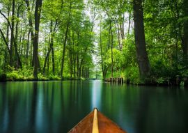 Lais Puzzle - Blick auf den Spreewald - Spree Wald, Deutschland - 100, 200, 500 & 1.000 Teile