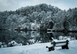 Lais Puzzle - Ansicht von Füssen, Bundesland Bayern, Deutschland - 40, 100, 200, 500, 1.000 & 2.000 Teile