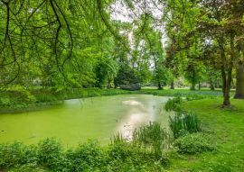 Lais Puzzle - Blick auf den Kellinghusener Park im Stadtteil Eppendorf. Bundesland Hamburg, Deutschland. - 100, 200, 500 & 1.000 Teile