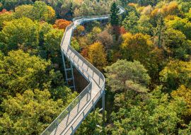 Lais Puzzle - Blick auf Amino aus den Baumwipfeln, gelegen in Beelitz, Land Berlin, Deutschland - 100, 200, 500 & 1.000 Teile