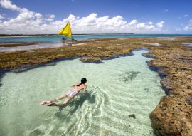 Lais Puzzle - Porto de Galinhas, Pernambuco - Brasilien. Brasilianischer Strand - 100, 200, 500 & 1.000 Teile