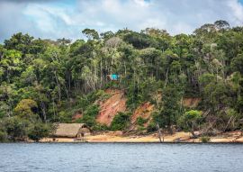 Lais Puzzle - Ein Abholzungsgebiet am Rande des Amazonas mit einem traditionellen indigenen Haus im Bundesstaat Amazonas in Brasilien - 100, 200, 500 & 1.000 Teile