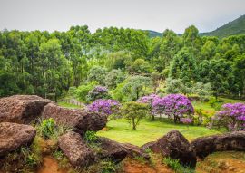 Lais Puzzle - Felsbrocken, Berge und Natur in Poços de Caldas, Minas Gerais, Brasilien - 100, 200, 500 & 1.000 Teile
