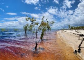 Lais Puzzle - Manaus, Amazonas, Brasilien - 100, 200, 500 & 1.000 Teile