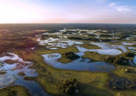 Lais Puzzle - Pantanal fotografiert in Corumba, Mato Grosso do Sul. Pantanal-Biom, Brasilien - 100, 200, 500 & 1.000 Teile