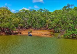 Lais Puzzle - Mangrove, Boot - Delta do Parnaíba - Piauí, Brasilien - 100, 200, 500 & 1.000 Teile