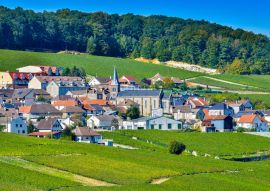 Lais Puzzle - Champagner-Weinberge Mancy im Departement Marne, Frankreich - 100, 200, 500 & 1.000 Teile