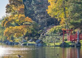 Lais Puzzle - Herbst Park Maulévrier, Frankreich - 100, 200, 500 & 1.000 Teile