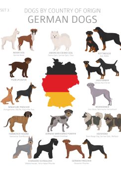 Lais Puzzle - Hunde Deutschlands - 100, 200, 500 & 1.000 Teile
