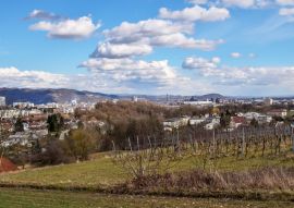 Lais Puzzle - Leonding Oberösterreich - 100, 200, 500 & 1.000 Teile