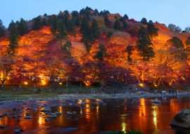 Lais Puzzle - Herbstlaub in Korankei, Aichi, Japan - 100, 200, 500 & 1.000 Teile
